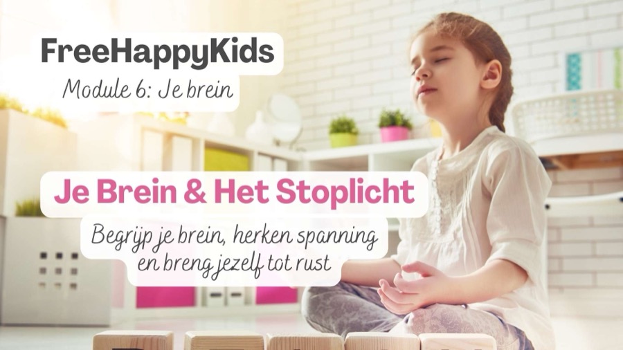 Module 6: Je Brein en Het Stoplicht. Begrijp je brein, herken spanning en breng jezelf tot rust