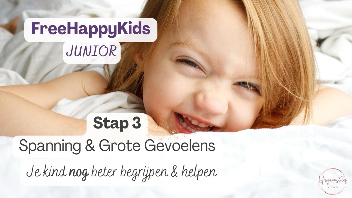 Stap 3: Spanning en grote gevoelens - je kind nog beter begrijpen en helpen