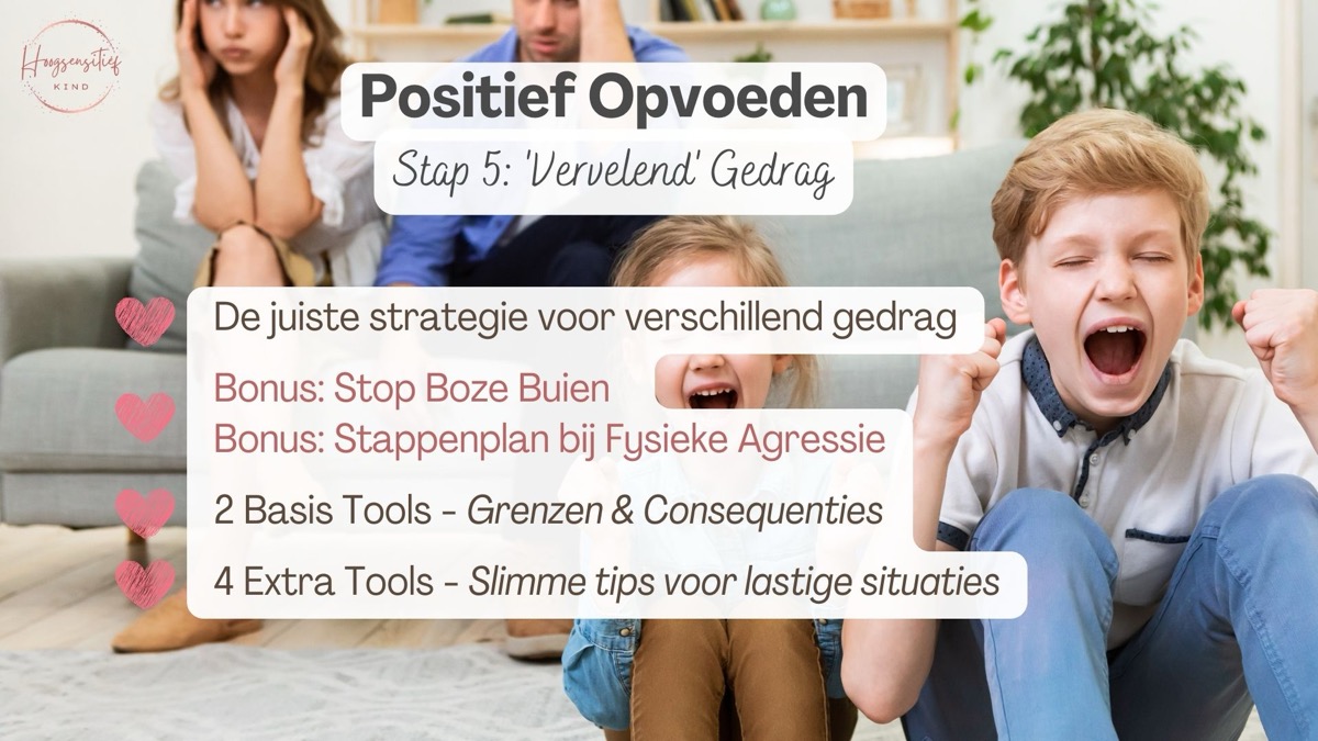 Stap 5 inhoud: de juiste strategie voor verschillend gedrag, met bonussen Stop Boze Buien en stappenplan bij fysieke agressie