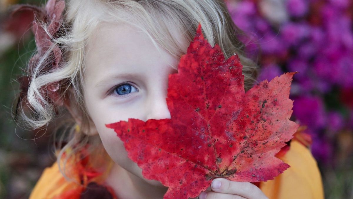 Meisje houdt een rood herfstblad voor haar oog, gevoelig en opmerkzaam