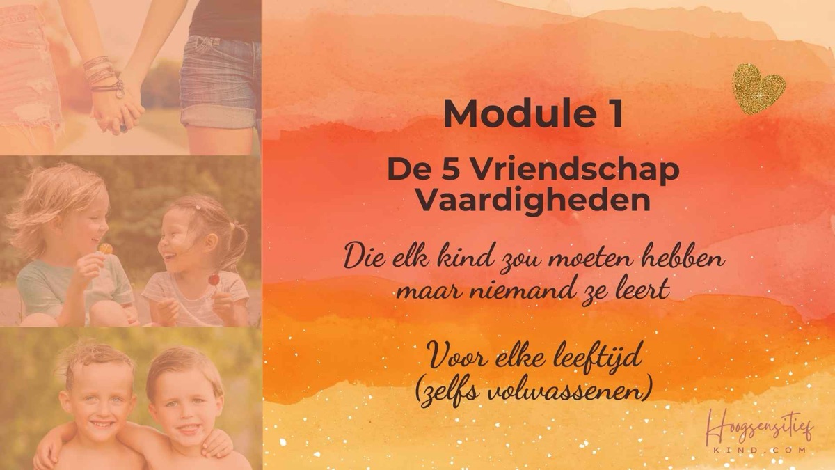Module 1: De 5 Vriendschap Vaardigheden, die elk kind zou moeten hebben maar niemand ze leert