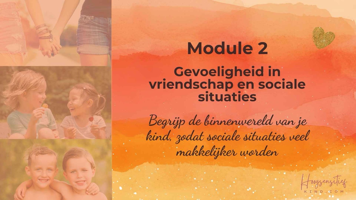 Module 2: Gevoeligheid in vriendschap en sociale situaties